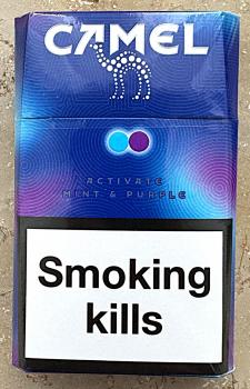 Camel Activate Mint & Purple